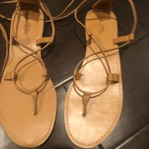 Urban outfitter gladiator Sandles